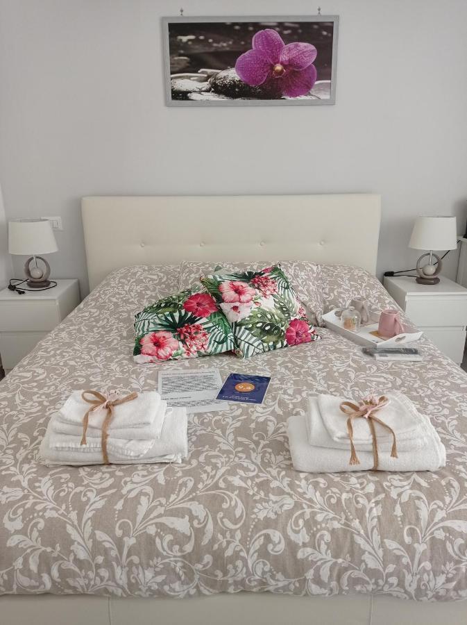 B&B La Palmetta チビタベッキア エクステリア 写真